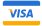 Visa payment icon